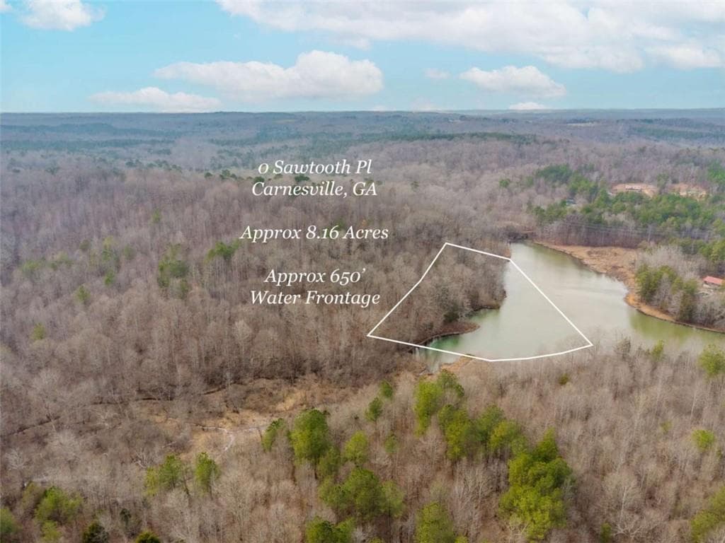 unimproved land for sale at 00 Sawtooth Place, Carnesville, GA 30521 — photo 9
