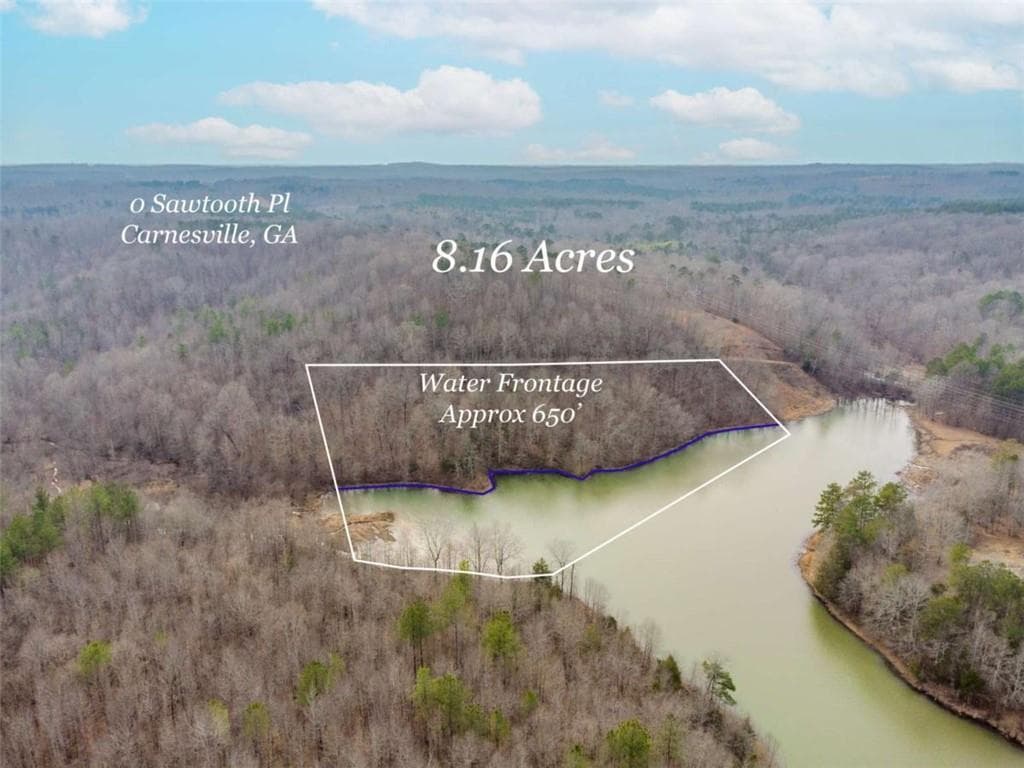 unimproved land for sale at 00 Sawtooth Place, Carnesville, GA 30521 — photo 10