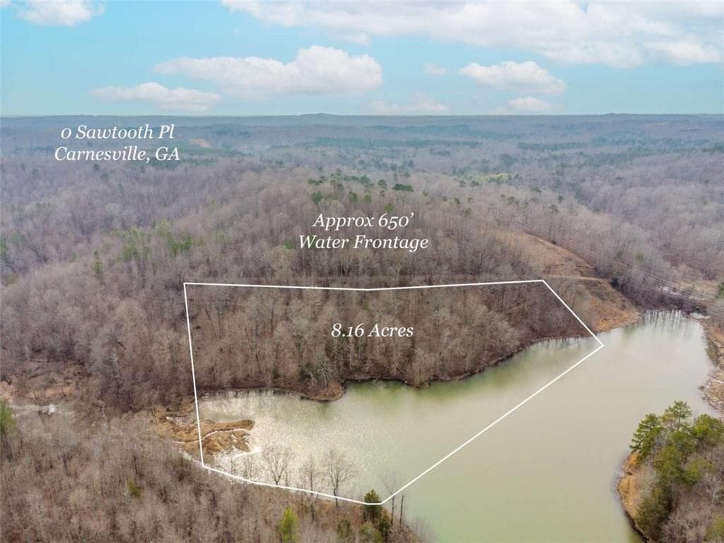 unimproved land for sale at 00 Sawtooth Place, Carnesville, GA 30521 — photo 3