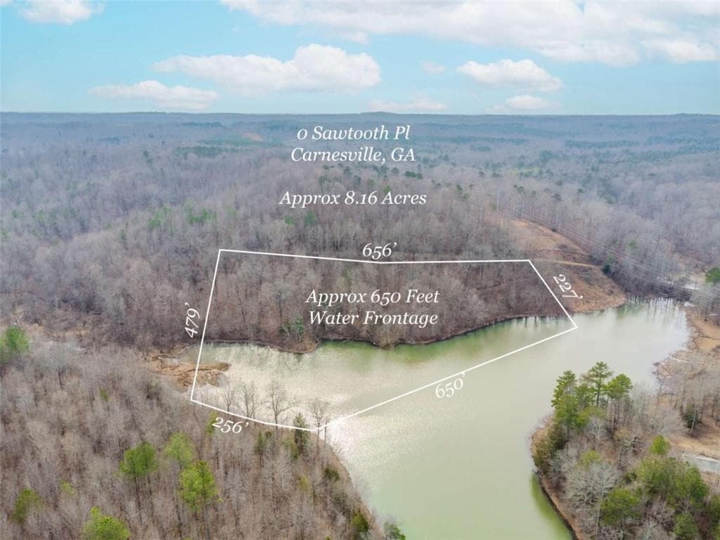 unimproved land for sale at 00 Sawtooth Place, Carnesville, GA 30521 — photo 4
