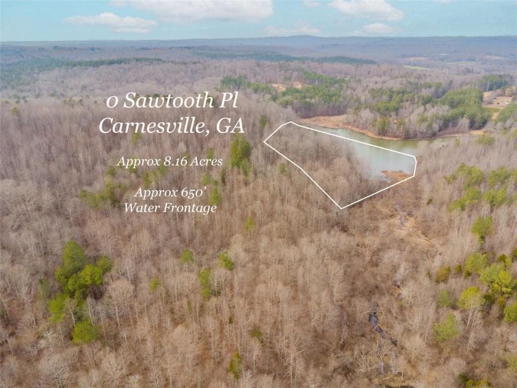 unimproved land for sale at 00 Sawtooth Place, Carnesville, GA 30521 — photo 2
