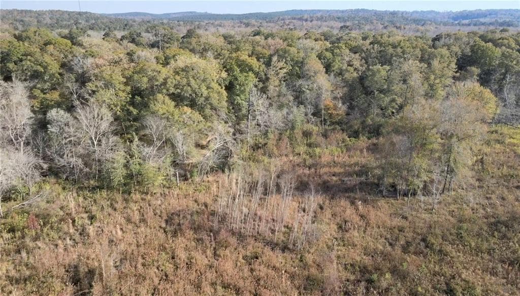 other for sale at 0 Old Eighty Five Road, Sandersville, GA 31083 — photo 7