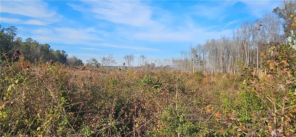 other for sale at 0 Old Eighty Five Road, Sandersville, GA 31083 — photo 9