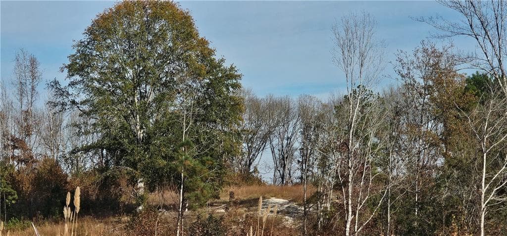 other for sale at 0 Old Eighty Five Road, Sandersville, GA 31083 — photo 10