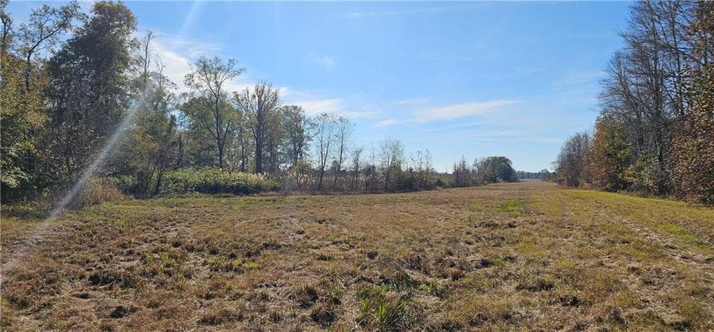 other for sale at 0 Old Eighty Five Road, Sandersville, GA 31083 — photo 2