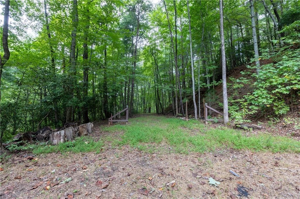 10 bedroom, 6 bathroom, 6,200 sq ft single family residence for sale at 258 Ber Weg, Helen, GA 30545 — photo 4
