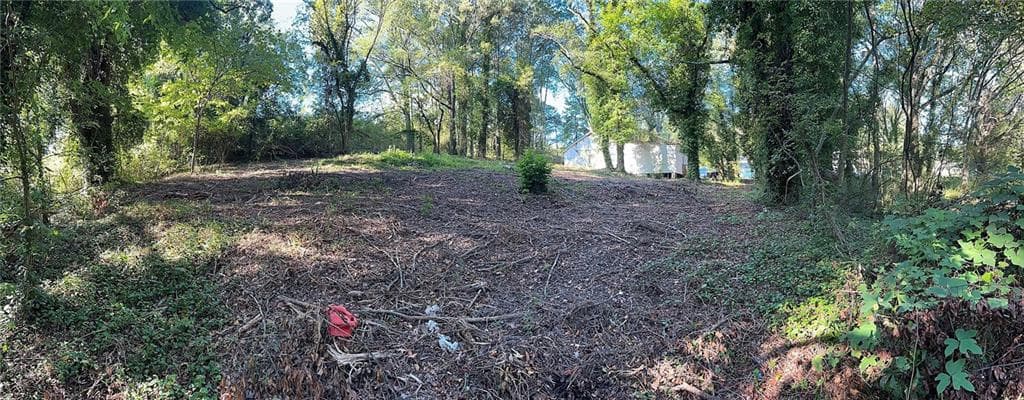 single family residence for sale at 0 Webb Avenue, Atlanta, GA 30314 — photo 3