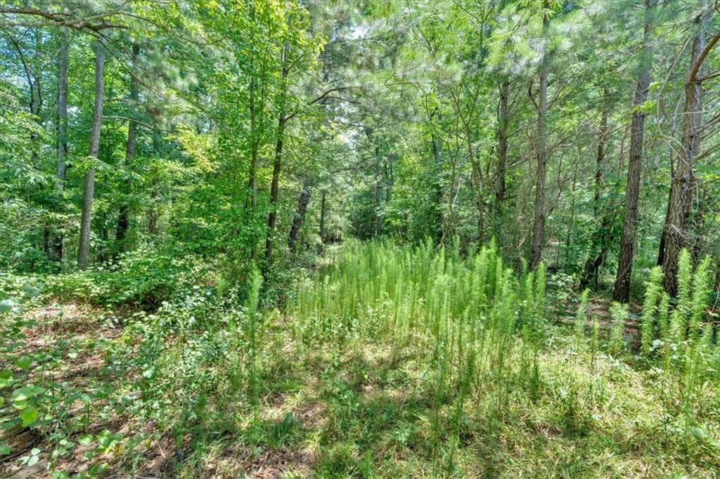 single family residence for sale at 0 Timmons Circle, Villa Rica, GA 30180 — photo 10