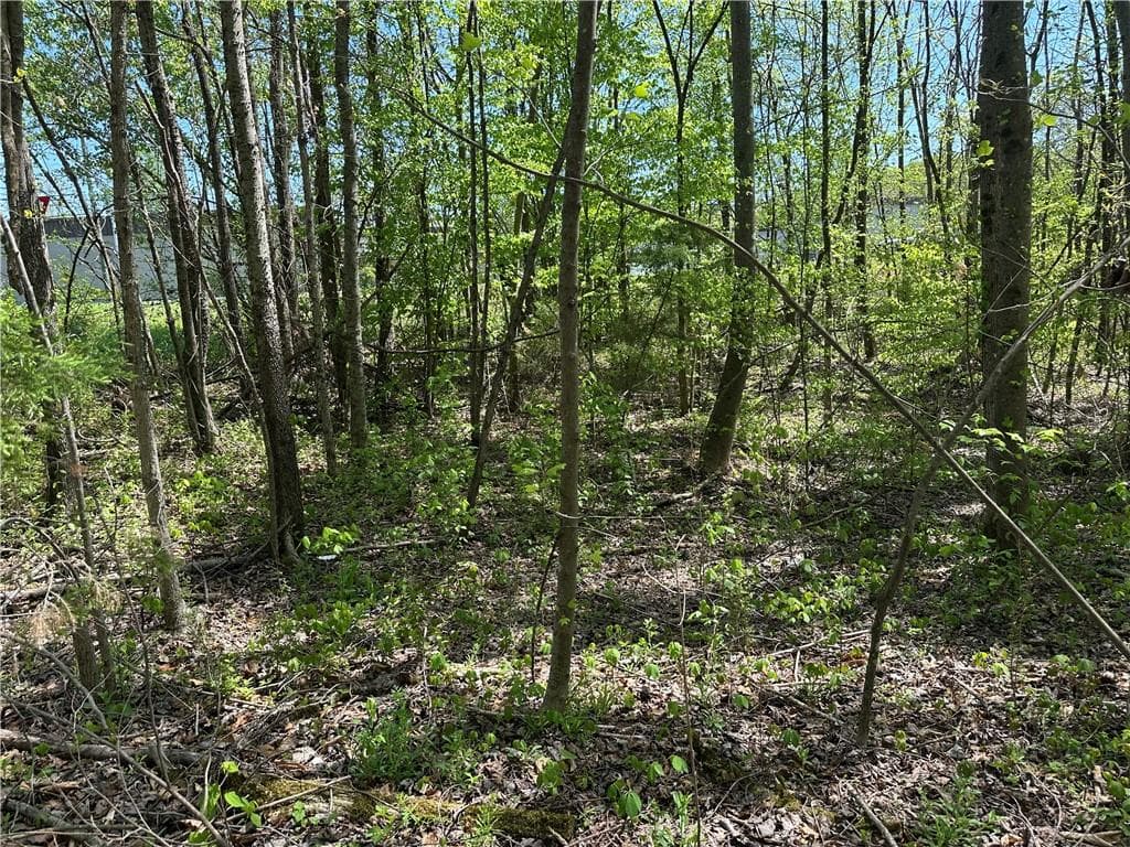 unimproved land for sale at 0 N. 411 Highway, Eton, GA 30705 — photo 2