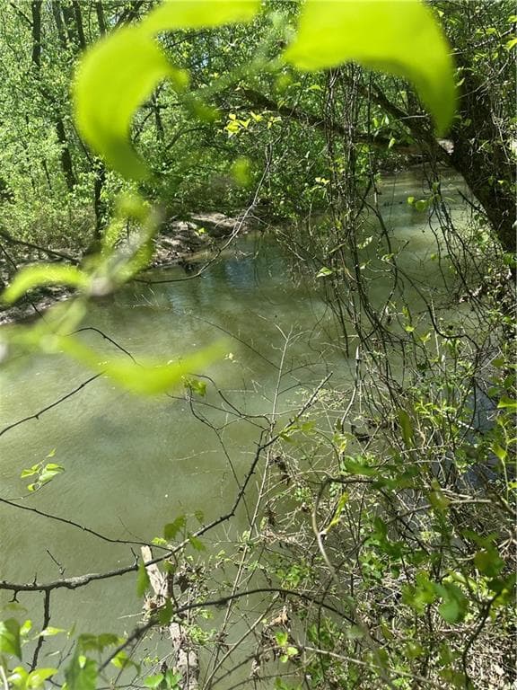unimproved land for sale at 0 N. 411 Highway, Eton, GA 30705 — photo 3