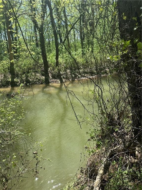 unimproved land for sale at 0 N. 411 Highway, Eton, GA 30705