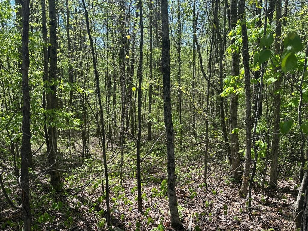 unimproved land for sale at 0 N. 411 Highway, Eton, GA 30705 — photo 4