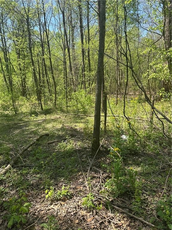 unimproved land for sale at 0 N. 411 Highway, Eton, GA 30705 — photo 5