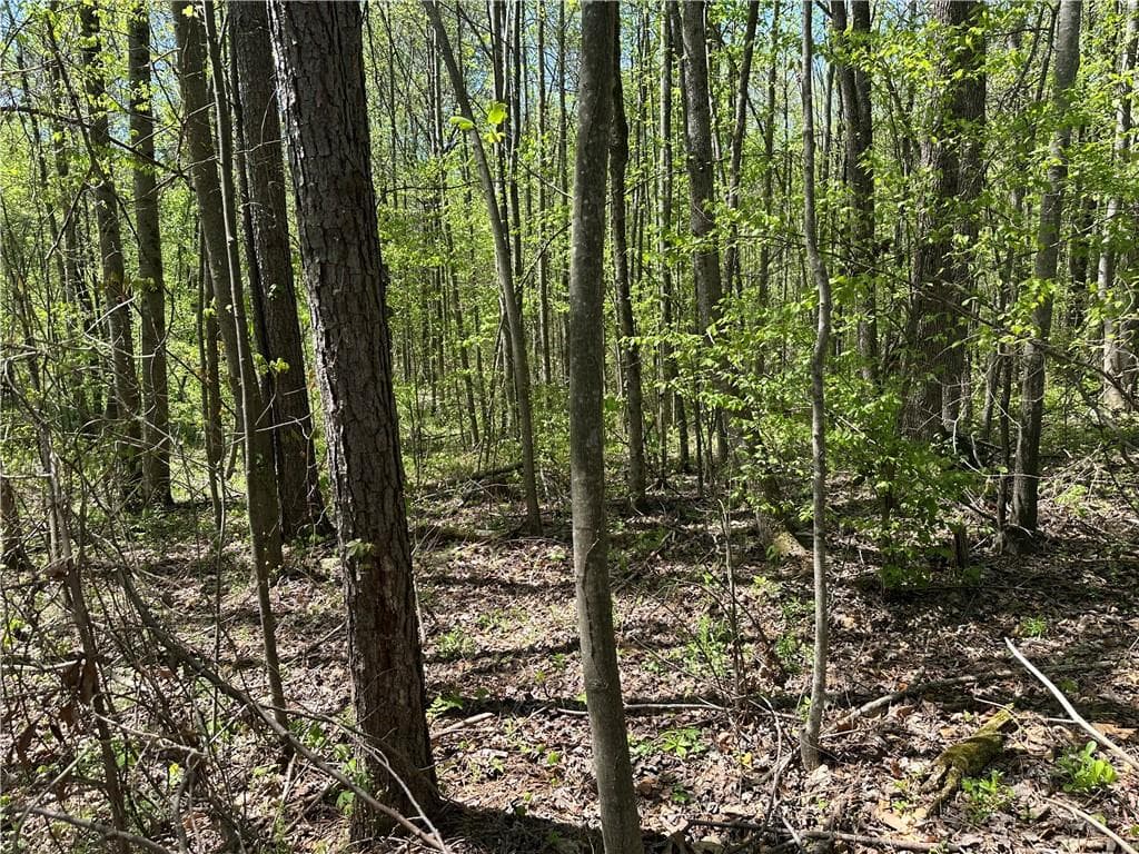 unimproved land for sale at 0 N. 411 Highway, Eton, GA 30705 — photo 6