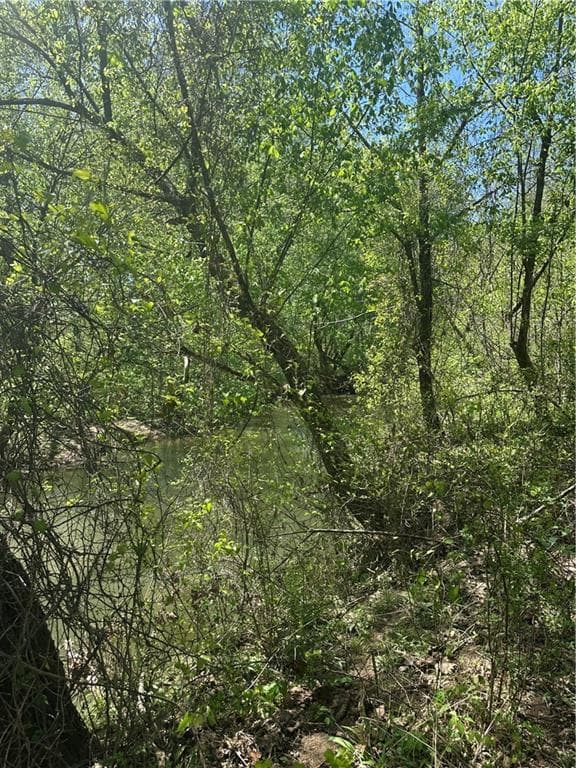 unimproved land for sale at 0 N. 411 Highway, Eton, GA 30705 — photo 7