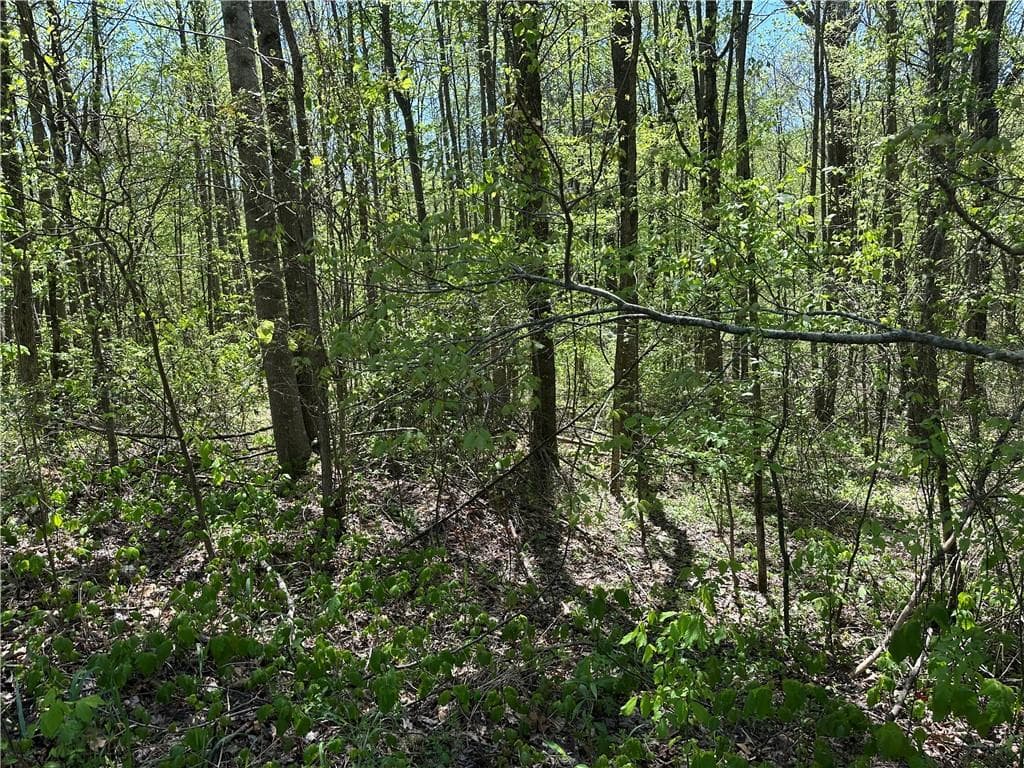 unimproved land for sale at 0 N. 411 Highway, Eton, GA 30705 — photo 8
