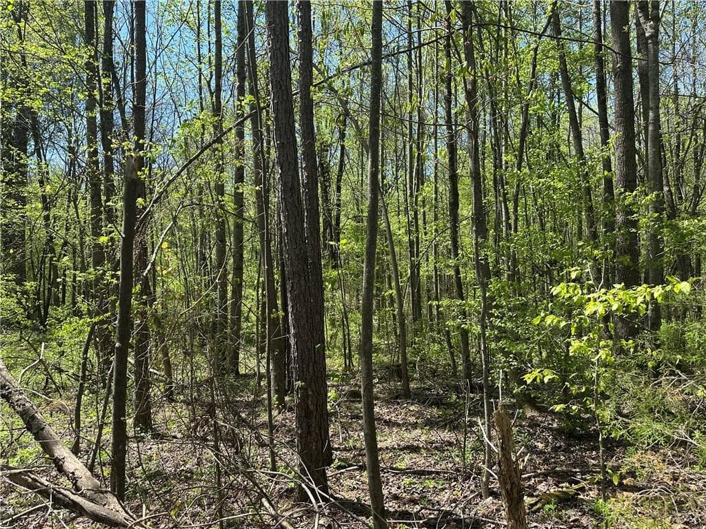 unimproved land for sale at 0 N. 411 Highway, Eton, GA 30705 — photo 9