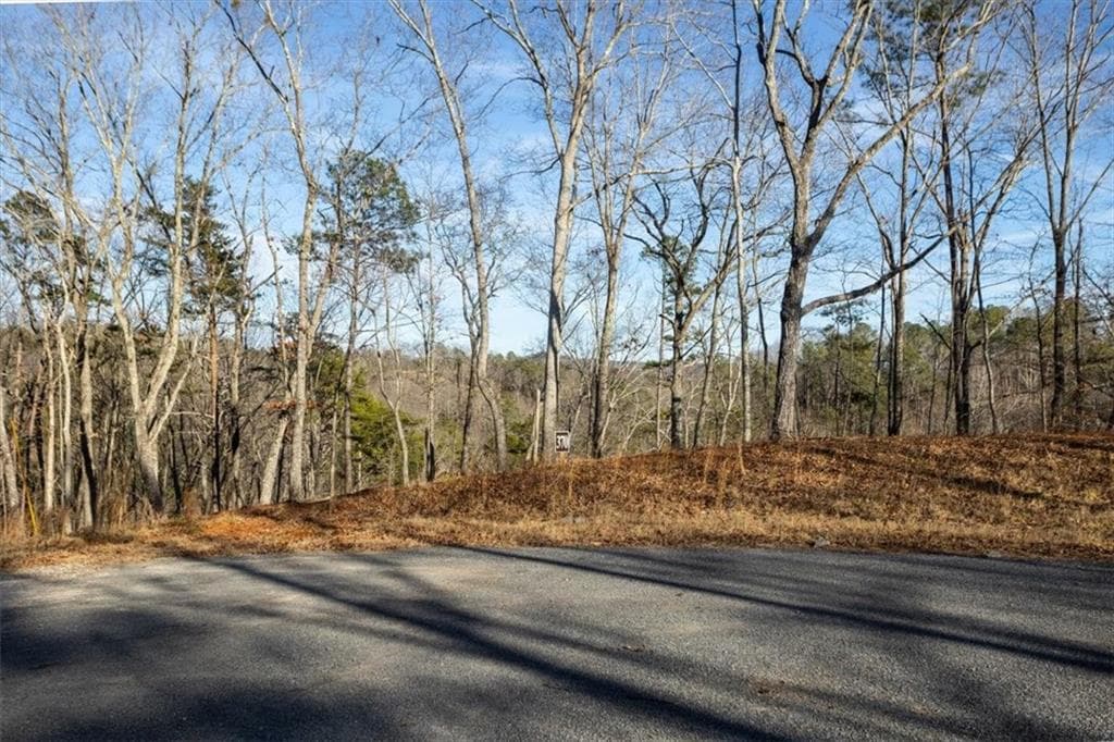 single family residence for sale at 0 Meditation Lane, Talking Rock, GA 30175