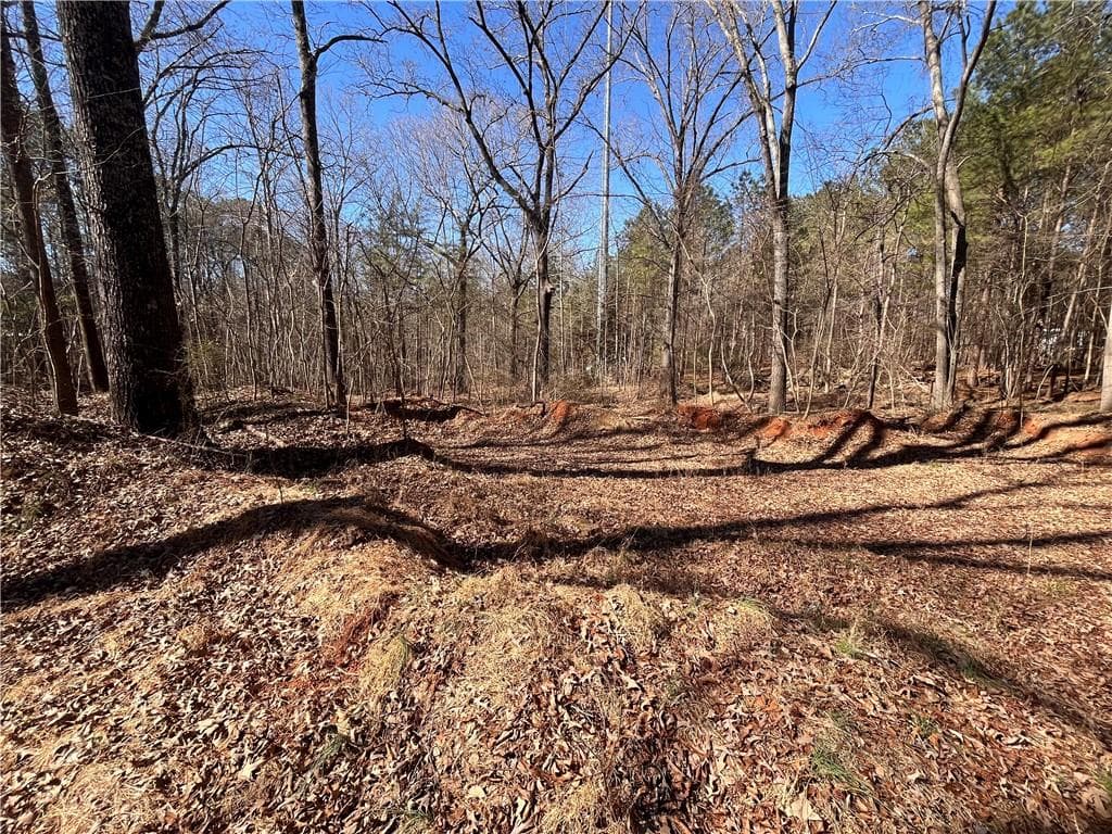 unimproved land for sale at 55 Key Road, Ellenwood, GA 30294 — photo 2