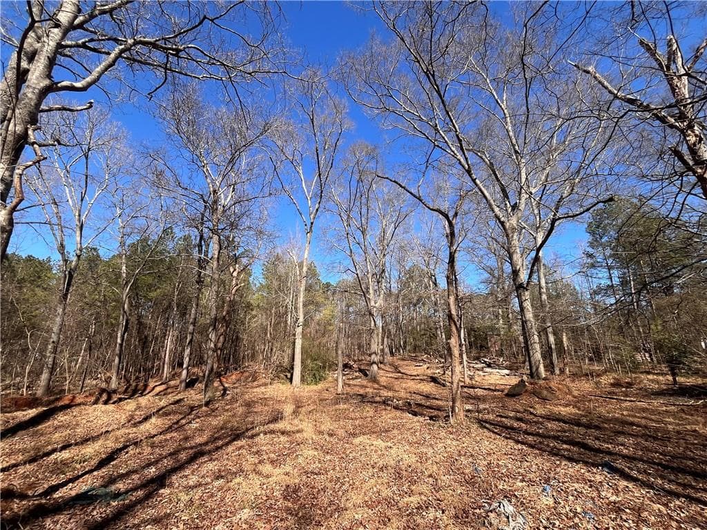unimproved land for sale at 55 Key Road, Ellenwood, GA 30294 — photo 3