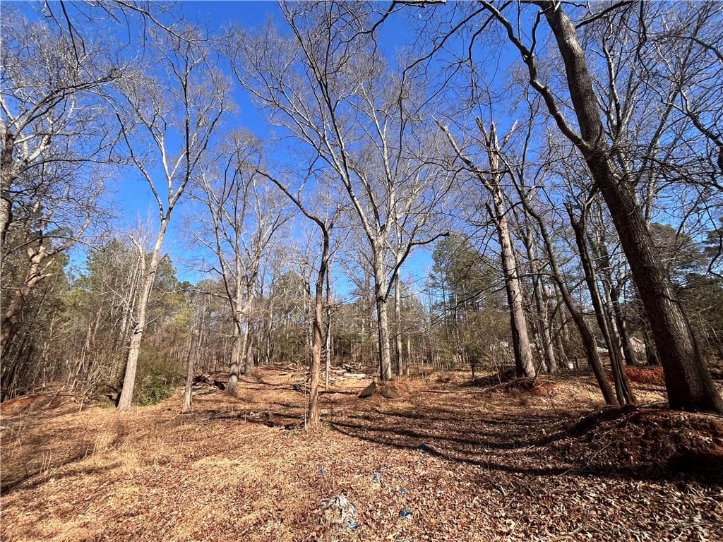 unimproved land for sale at 55 Key Road, Ellenwood, GA 30294 — photo 4