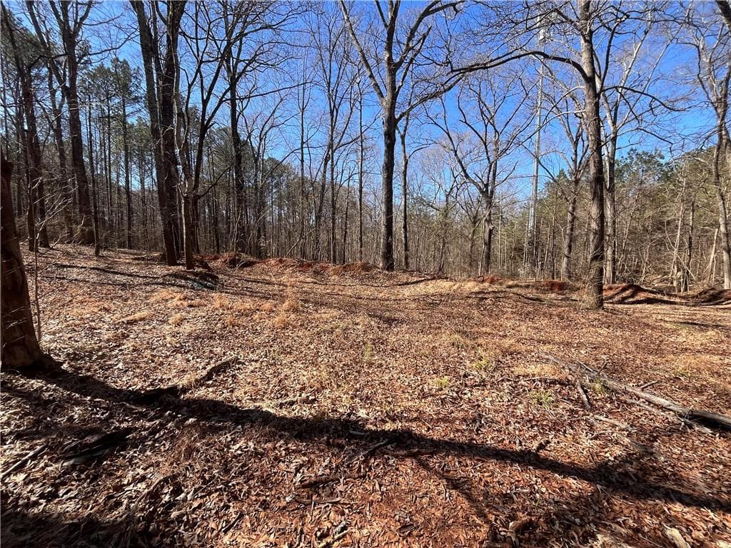 unimproved land for sale at 55 Key Road, Ellenwood, GA 30294 — photo 5