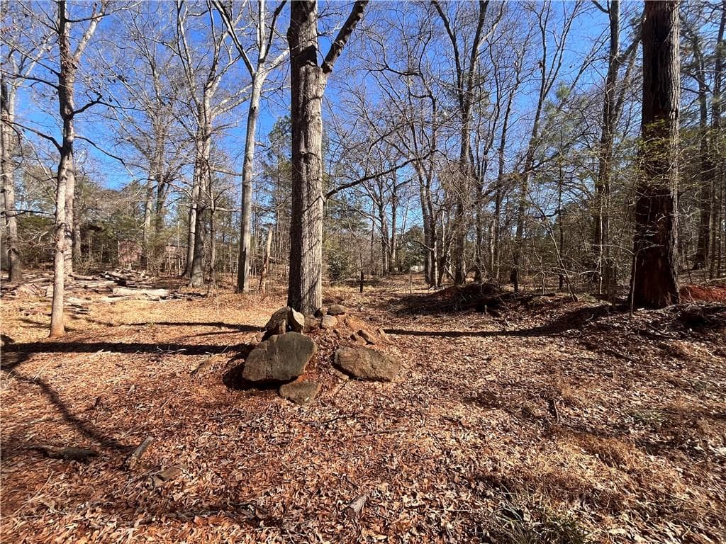 unimproved land for sale at 55 Key Road, Ellenwood, GA 30294 — photo 6