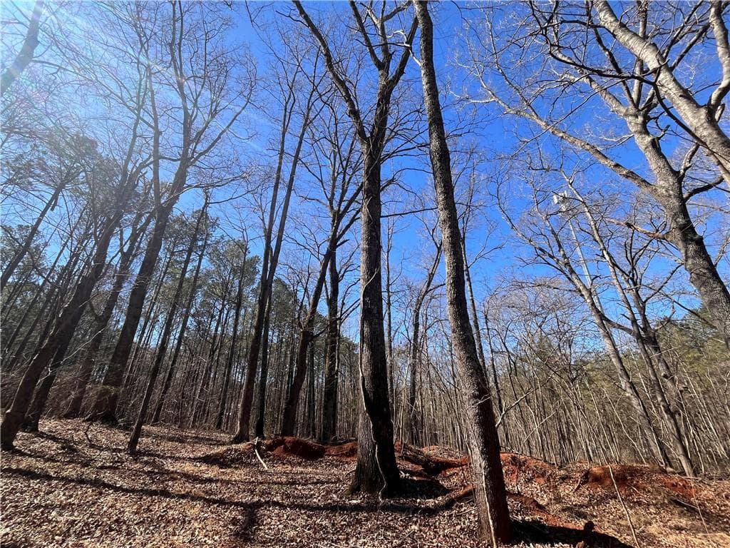unimproved land for sale at 55 Key Road, Ellenwood, GA 30294 — photo 7