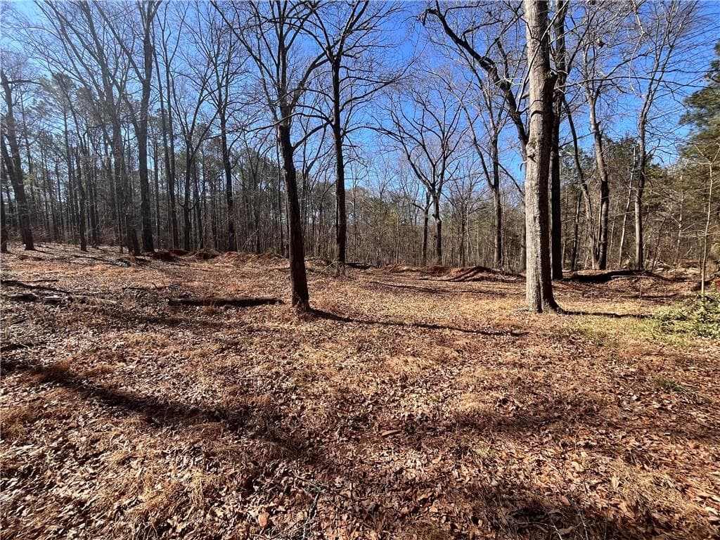 unimproved land for sale at 55 Key Road, Ellenwood, GA 30294 — photo 8