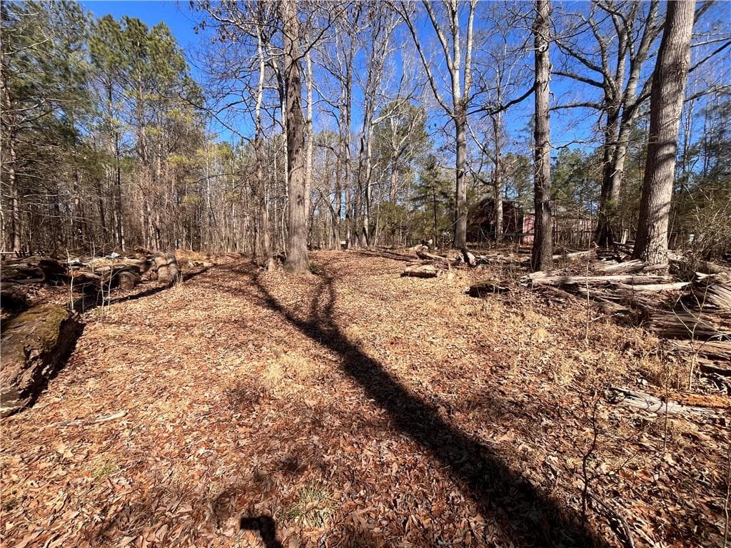 unimproved land for sale at 55 Key Road, Ellenwood, GA 30294 — photo 9