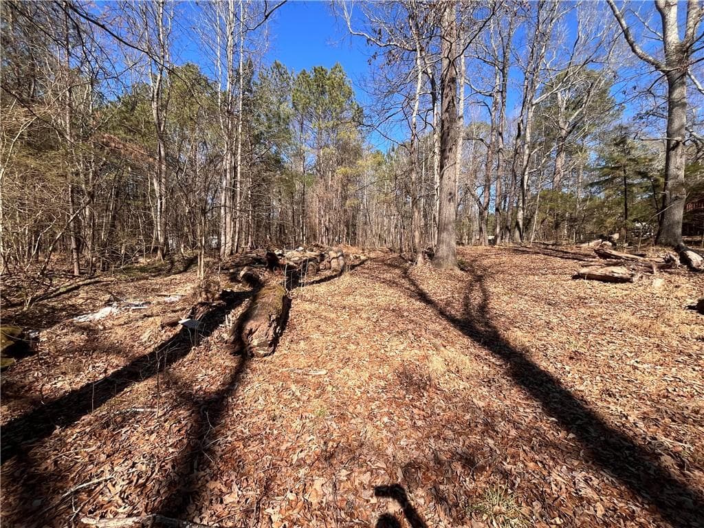 unimproved land for sale at 55 Key Road, Ellenwood, GA 30294 — photo 10