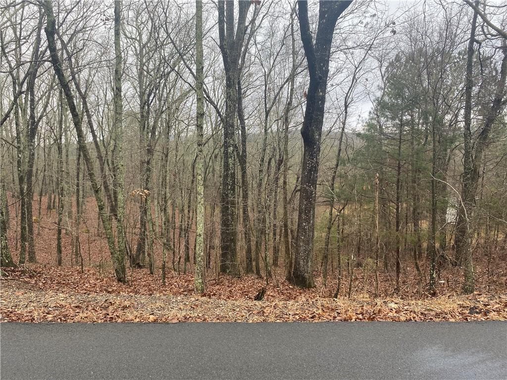 unimproved land for sale at 0 John Ingram Road, Silver Creek, GA 30173 — photo 1 of 6