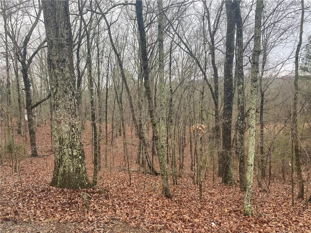 unimproved land for sale at 0 John Ingram Road, Silver Creek, GA 30173 — photo 2