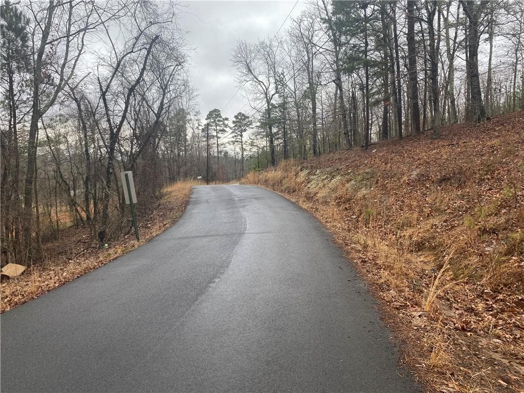 unimproved land for sale at 0 John Ingram Road, Silver Creek, GA 30173 — photo 4