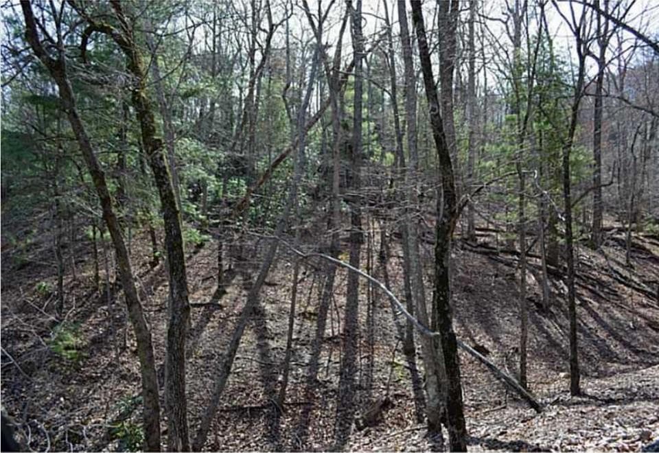 single family residence for sale at 2569 Wilderness Parkway, Jasper, GA 30143 — photo 2
