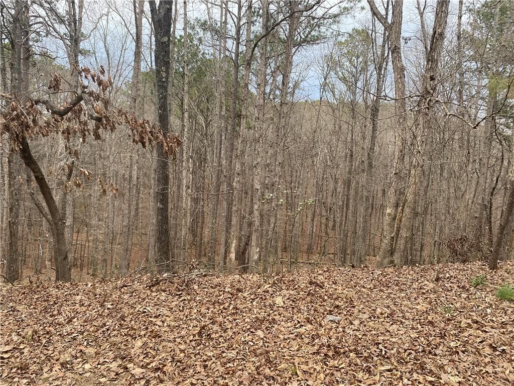 unimproved land for sale at 0 Warwick Way, Rome, GA 30161 — photo 2