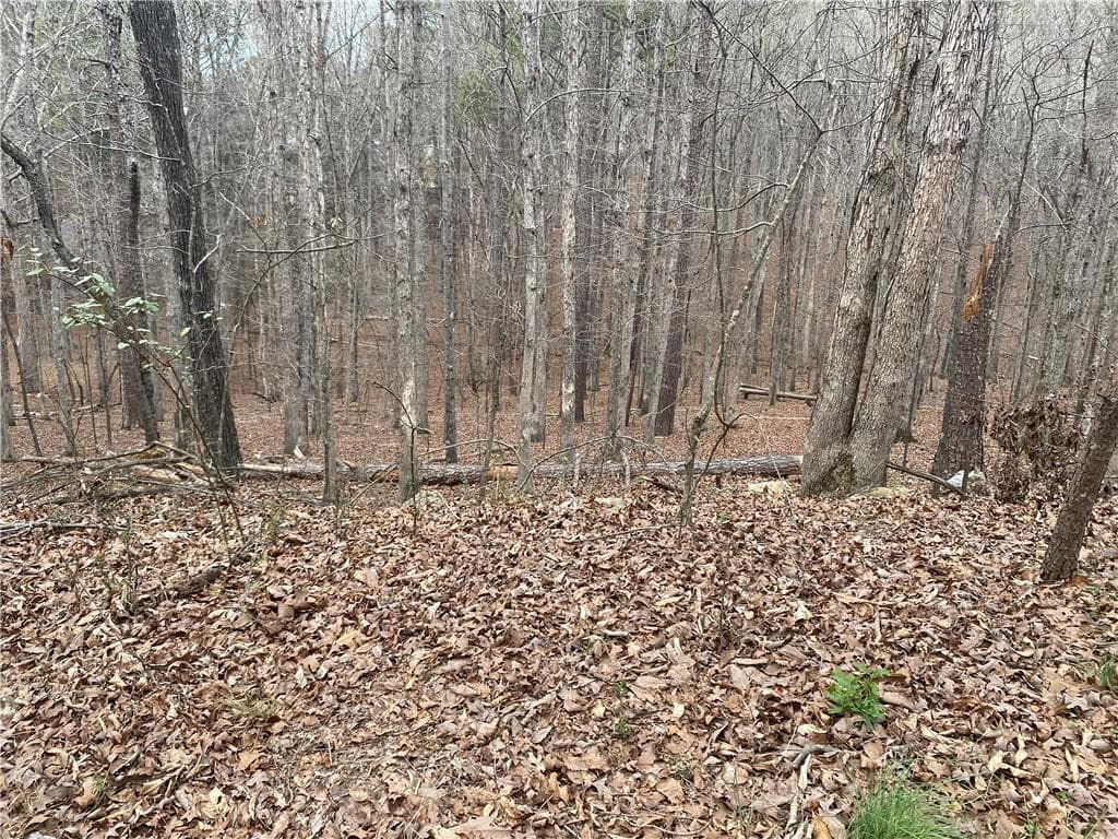 unimproved land for sale at 0 Warwick Way, Rome, GA 30161 — photo 3