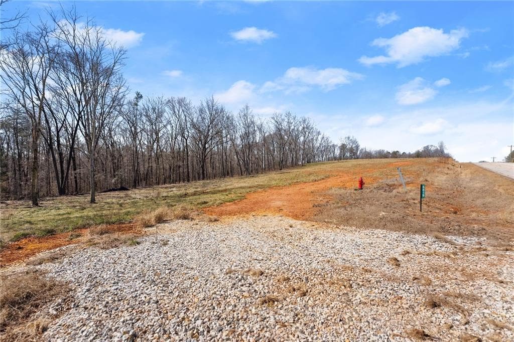 other for sale at 5419 Highway 320, Carnesville, GA 30521 — photo 2