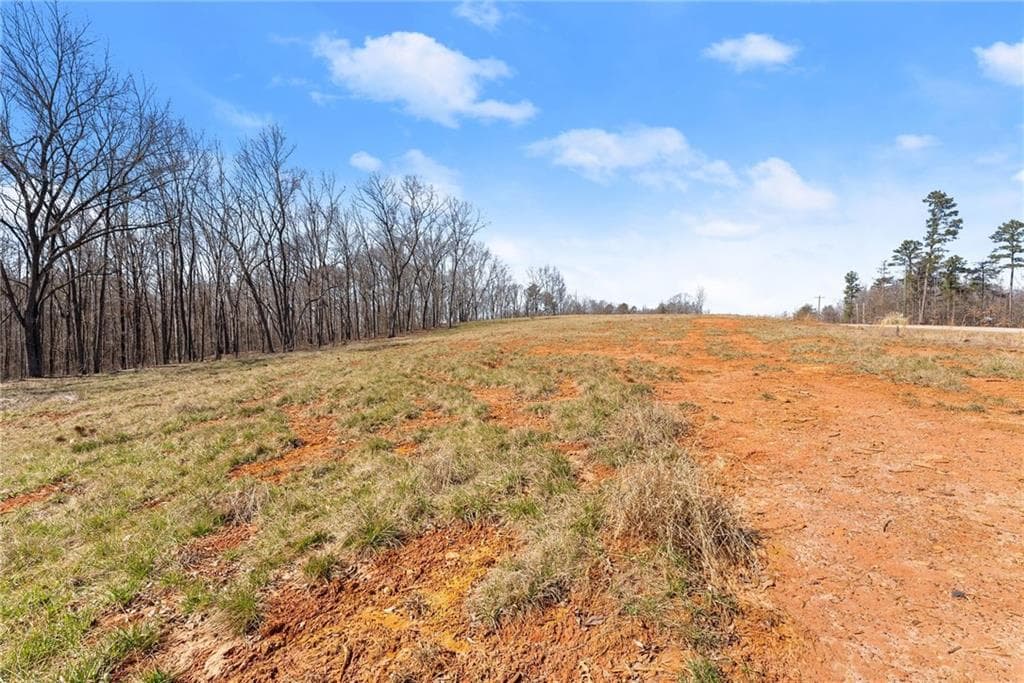 other for sale at 5419 Highway 320, Carnesville, GA 30521 — photo 3