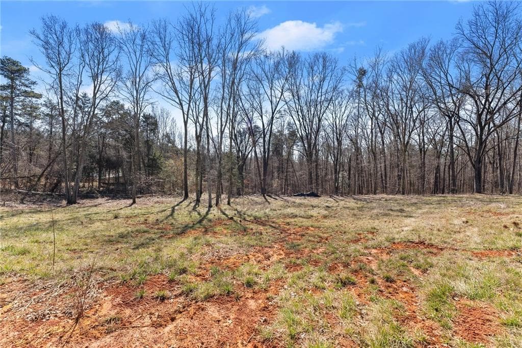 other for sale at 5419 Highway 320, Carnesville, GA 30521 — photo 4