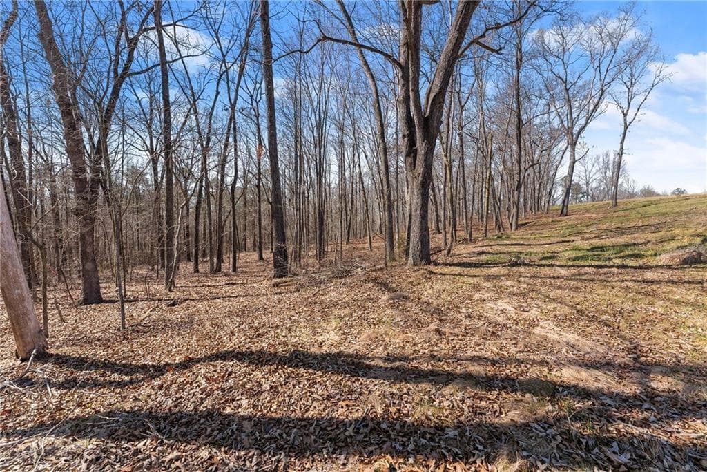 other for sale at 5419 Highway 320, Carnesville, GA 30521 — photo 5