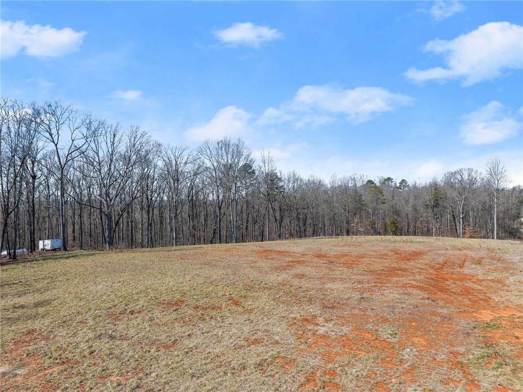 other for sale at 5419 Highway 320, Carnesville, GA 30521 — photo 7