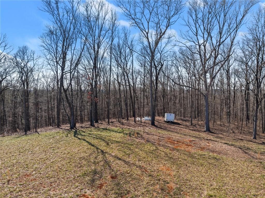 other for sale at 5419 Highway 320, Carnesville, GA 30521 — photo 8