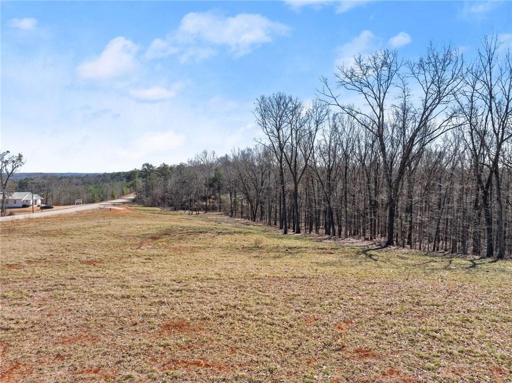 other for sale at 5419 Highway 320, Carnesville, GA 30521 — photo 9