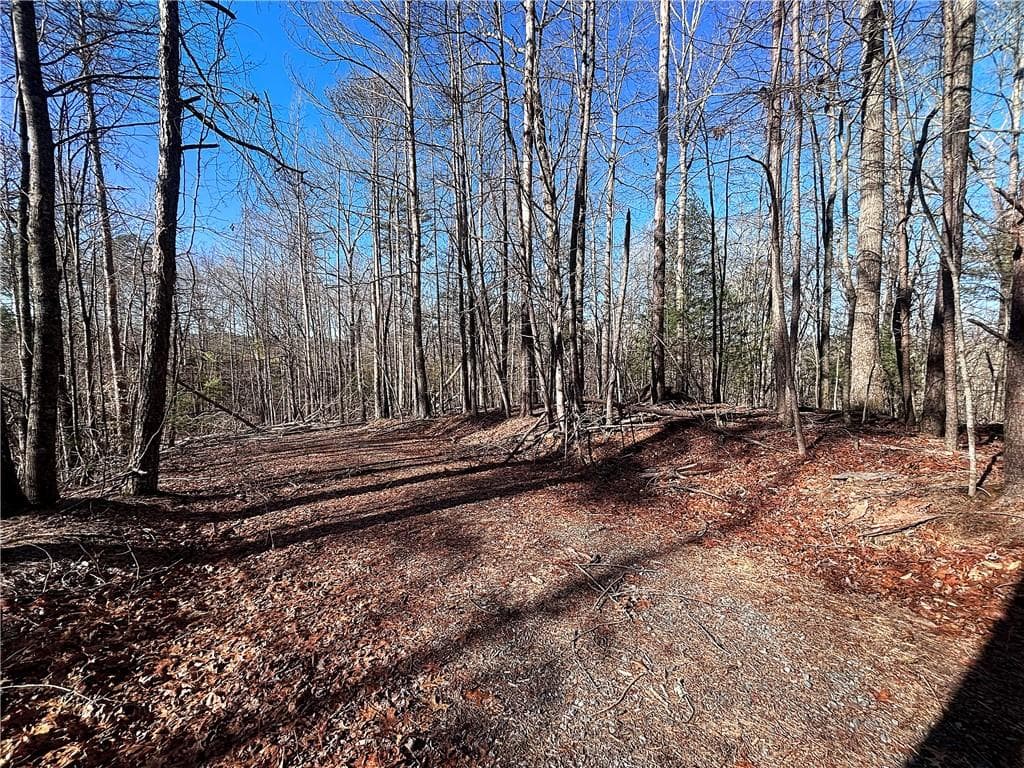 0 Miramar Drive, Ellijay, GA 30540 — most recent listing photo