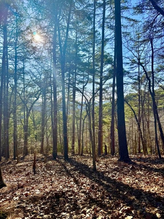 other for sale at 334 Packet Court, Ranger, GA 30734 — photo 3