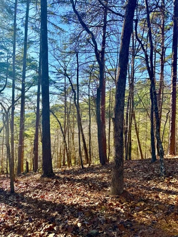 other for sale at 334 Packet Court, Ranger, GA 30734 — photo 4