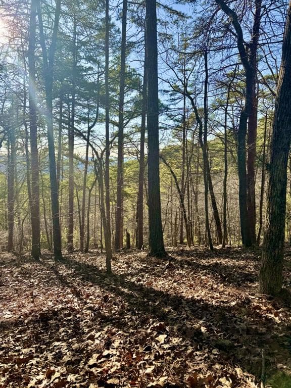 other for sale at 334 Packet Court, Ranger, GA 30734