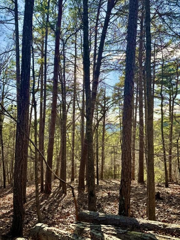 other for sale at 334 Packet Court, Ranger, GA 30734 — photo 8