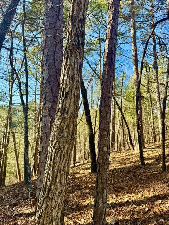 other for sale at 335 Packet Court, Ranger, GA 30734 — photo 7